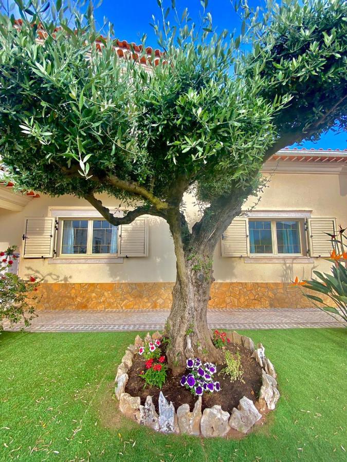 Casa Das Laranjeiras Alqueidao da Serra ภายนอก รูปภาพ