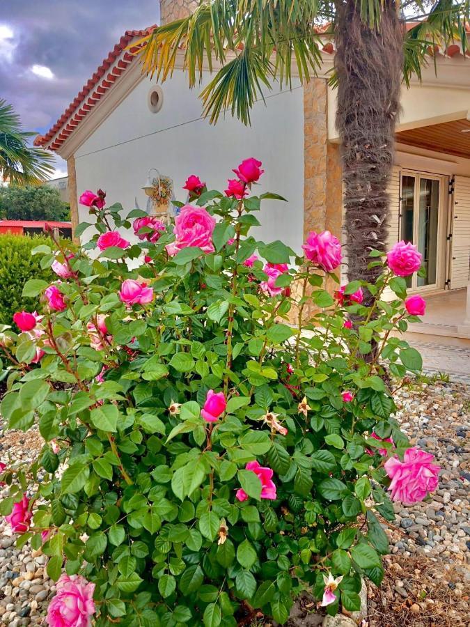 Casa Das Laranjeiras Alqueidao da Serra ภายนอก รูปภาพ